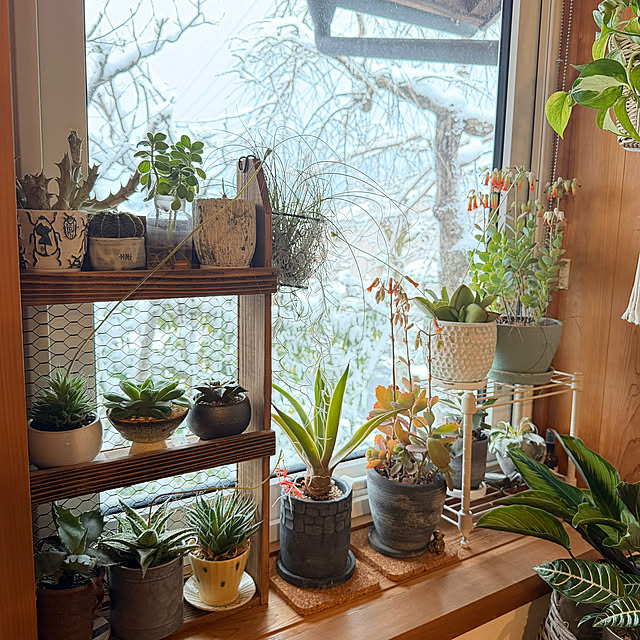 onsix777さんの実例写真