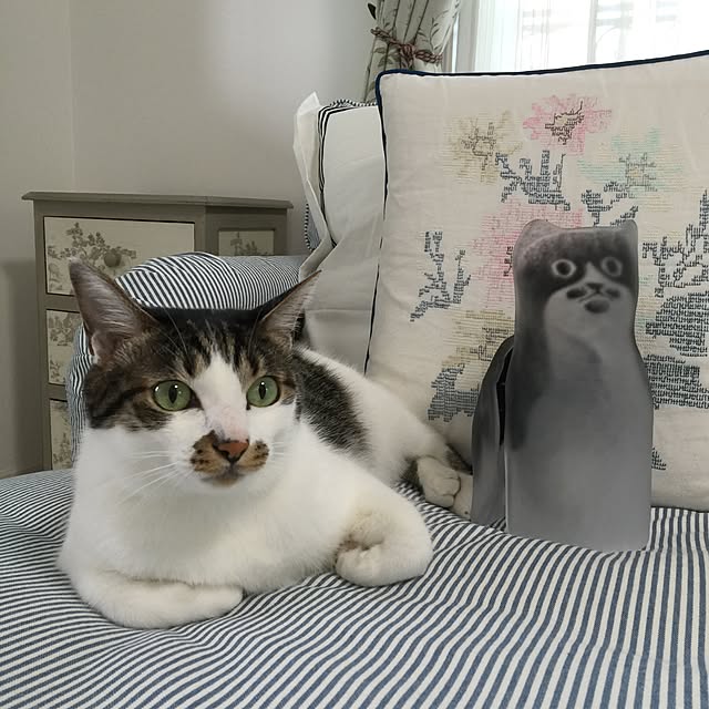 yuchiさんの実例写真