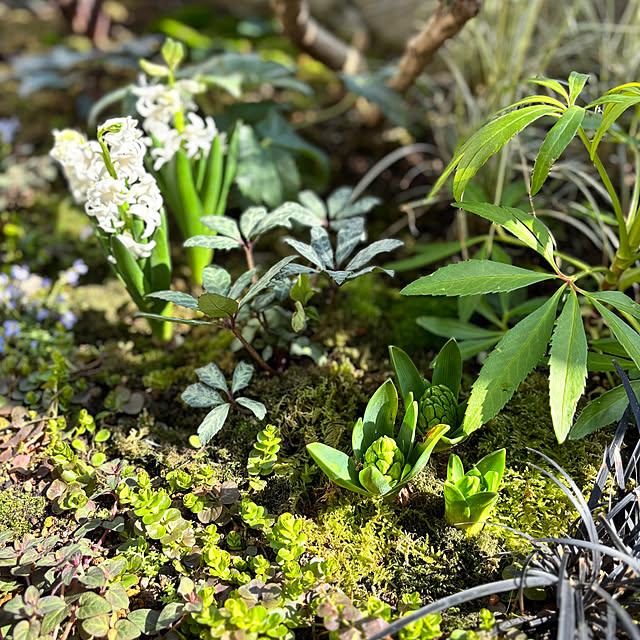 kyoko1124koさんの部屋