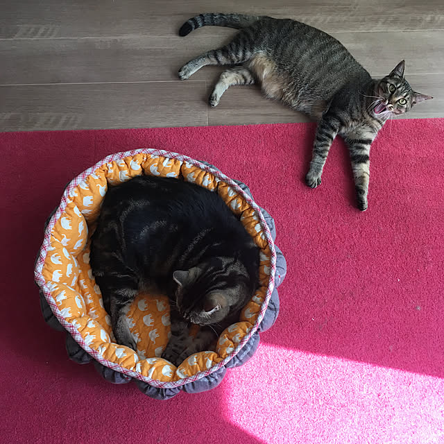 mikomaruさんの実例写真