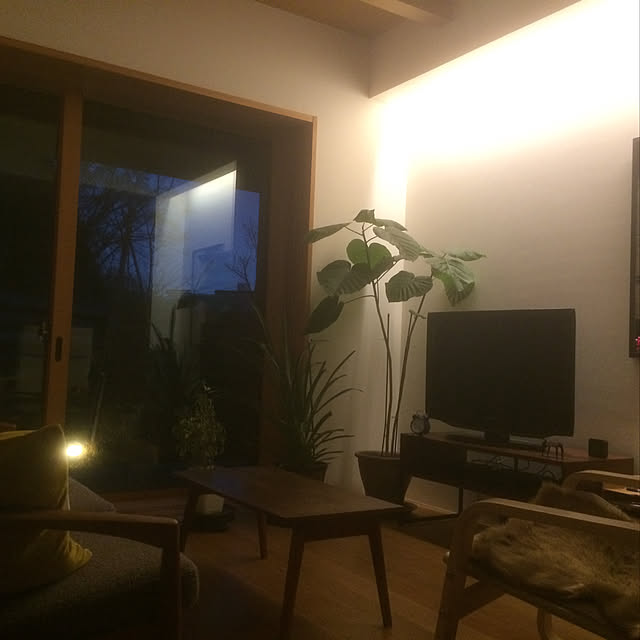 t.take28さんの実例写真
