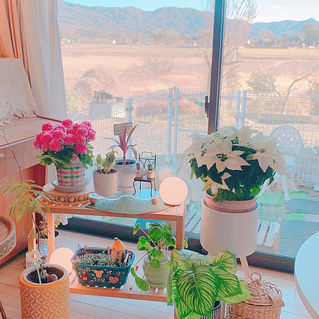 moonさんの部屋