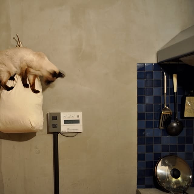 INCAPACITANTSさんの実例写真