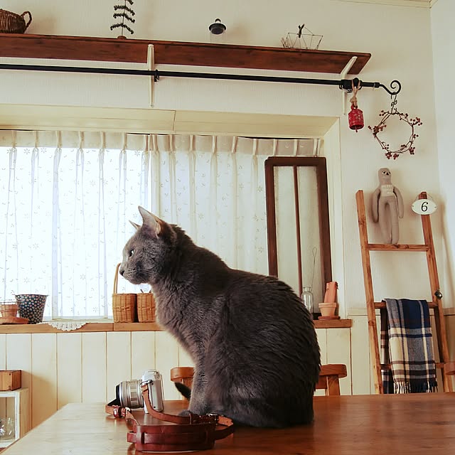 tomo1220さんの実例写真