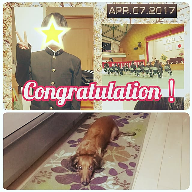 andさんの実例写真