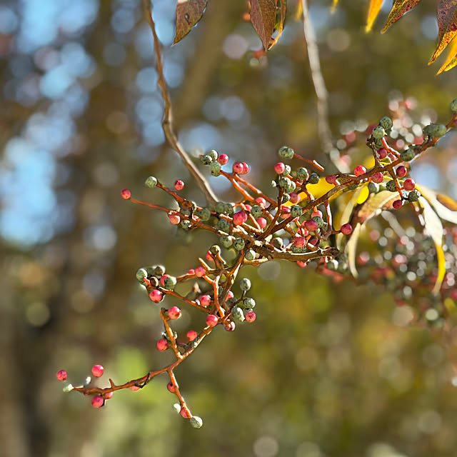 tututu0204さんの部屋