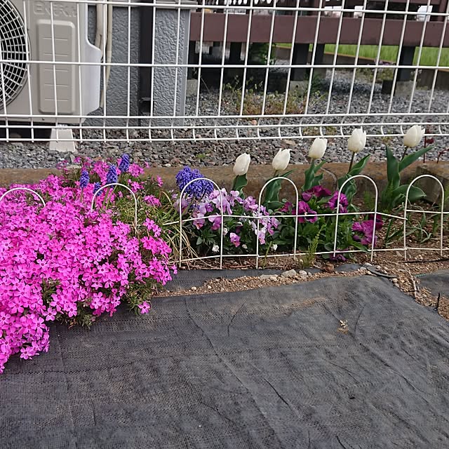 yukimamaさんの部屋
