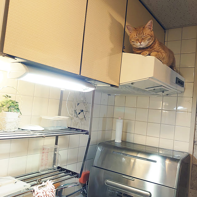 asuminさんの実例写真