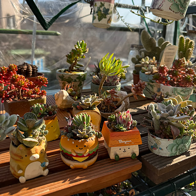 Aqettyさんの部屋