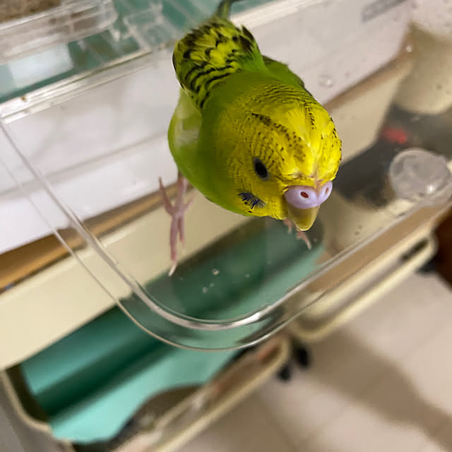 ohanaさんの部屋