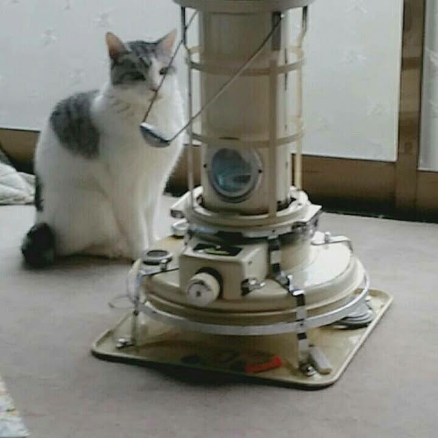 VWさんの実例写真