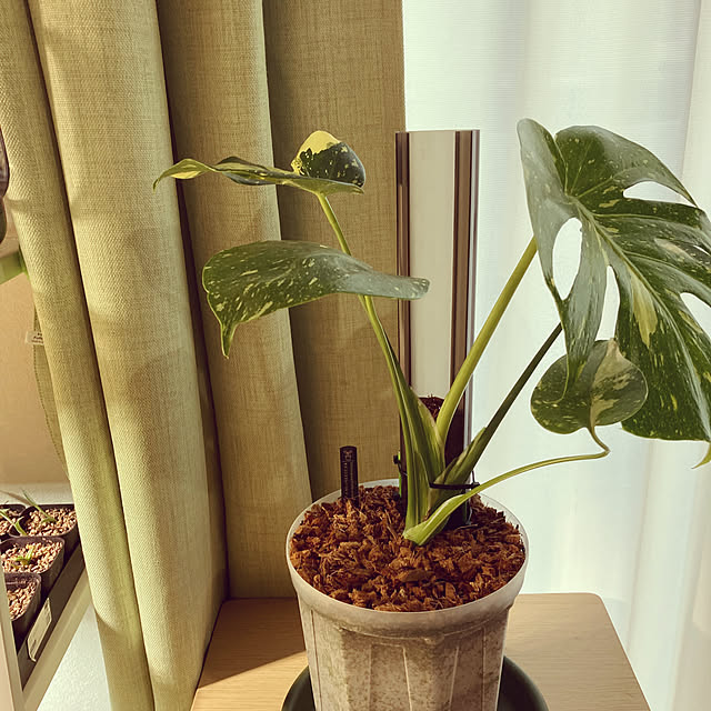 hitomi153さんの部屋