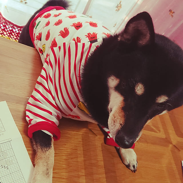 実例写真