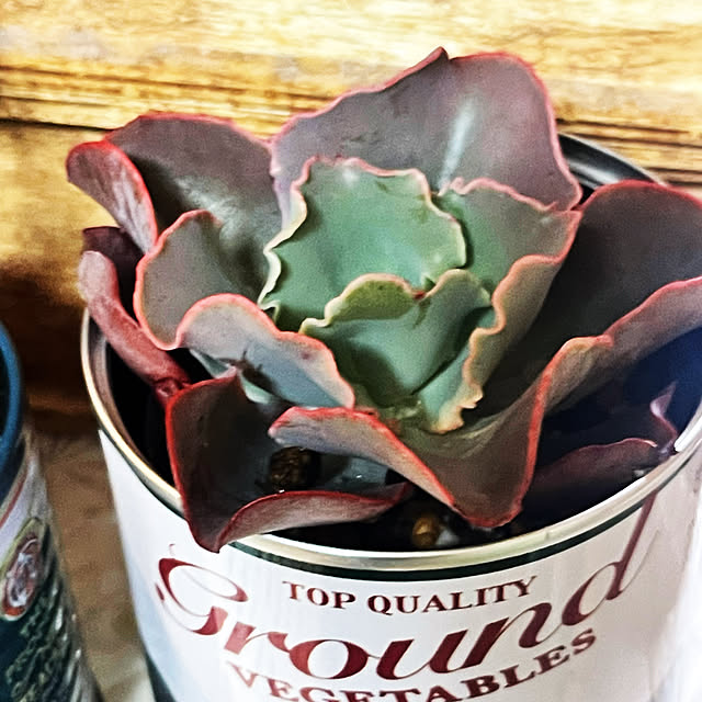 mamanさんの実例写真