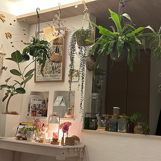 megu.catさんの実例写真