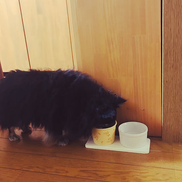yukaさんの実例写真