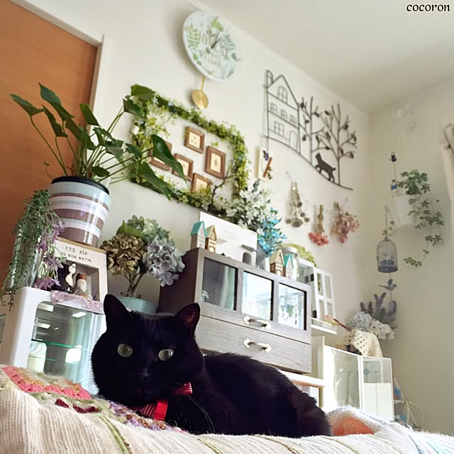 cocoronさんの実例写真