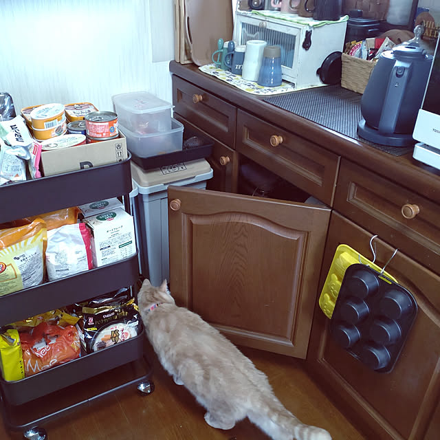 mntcさんの実例写真