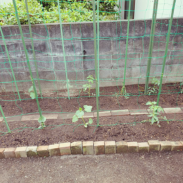 ramuramuさんの実例写真