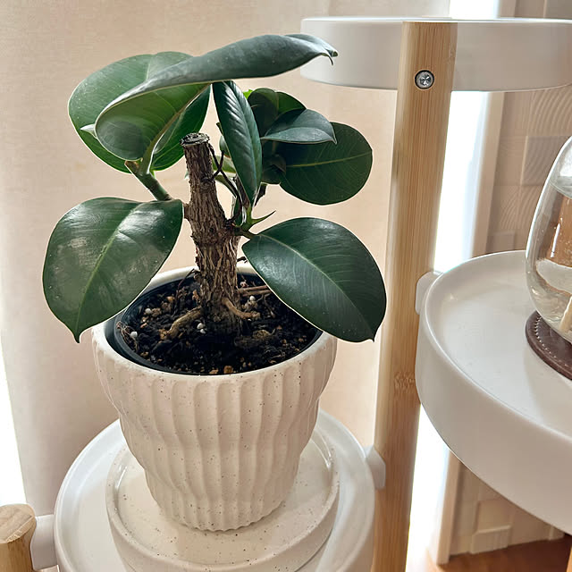 toyoさんの部屋