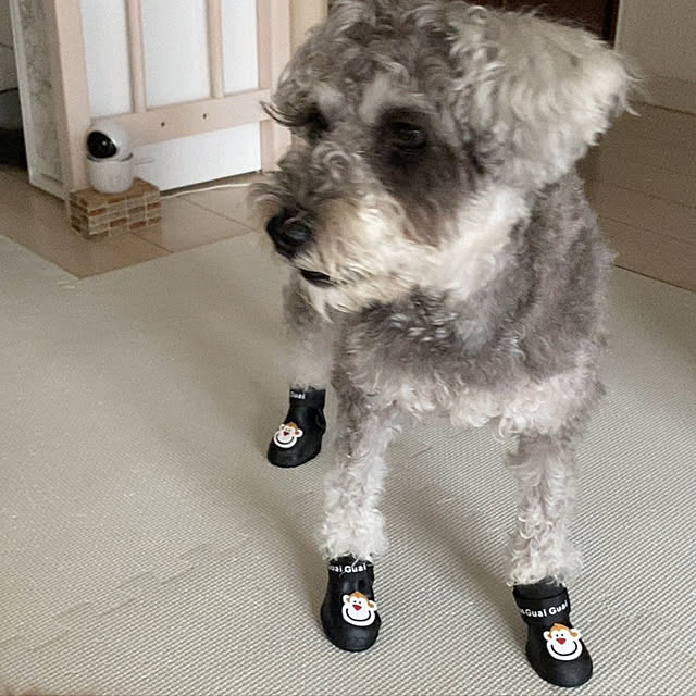 alchoさんの実例写真
