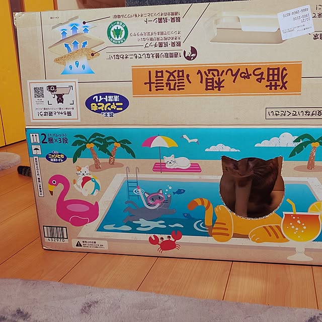 noguriさんの部屋