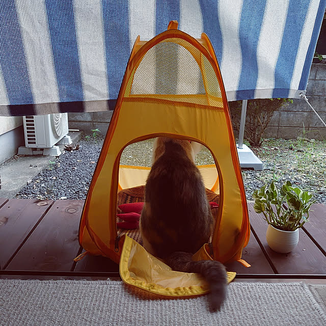 fukuさんの実例写真
