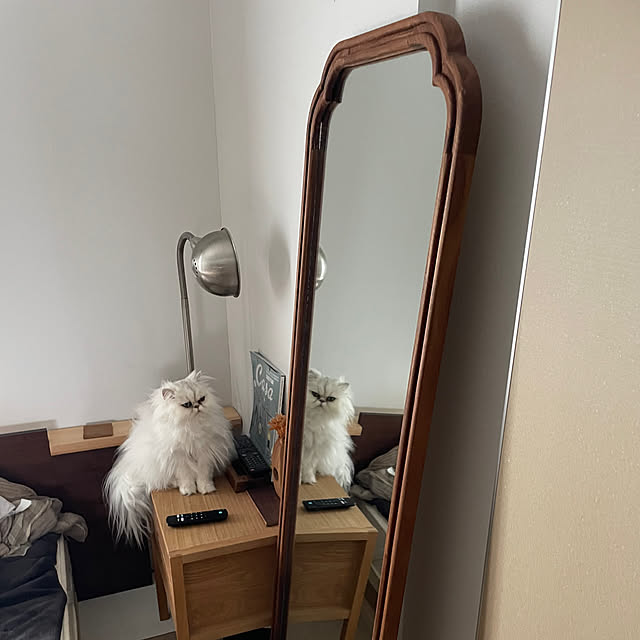 shirokumaさんの部屋
