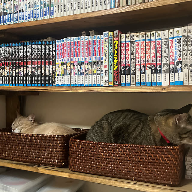 mikan161さんの実例写真
