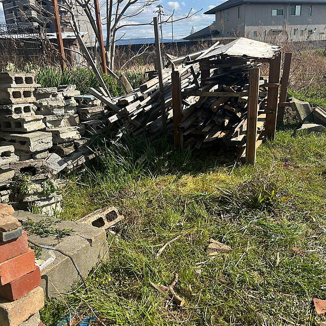 実例写真