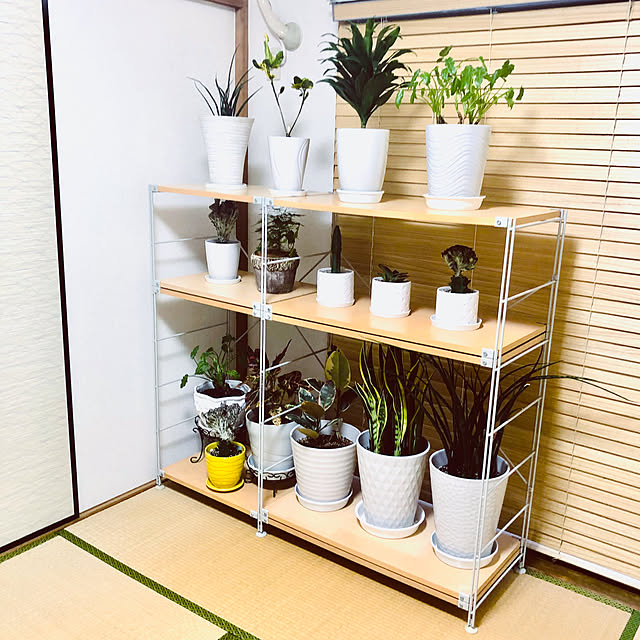 hanachanさんの部屋