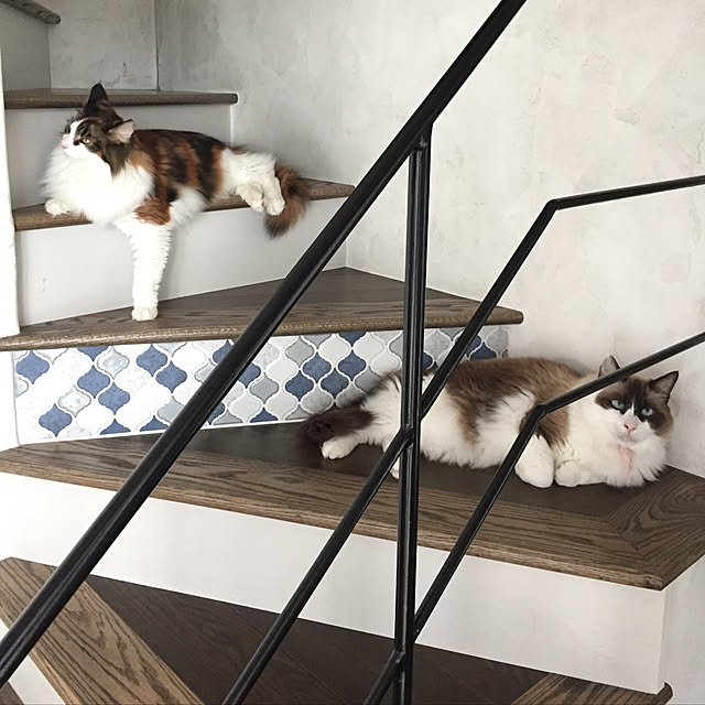 hotanekohouseさんの実例写真