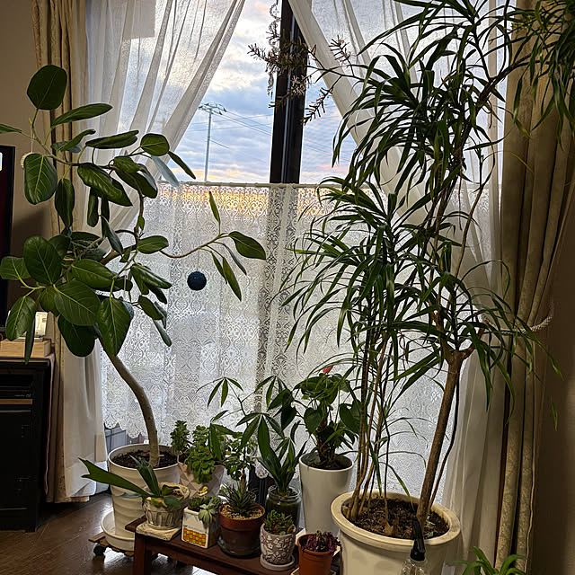 ritsukoさんの部屋