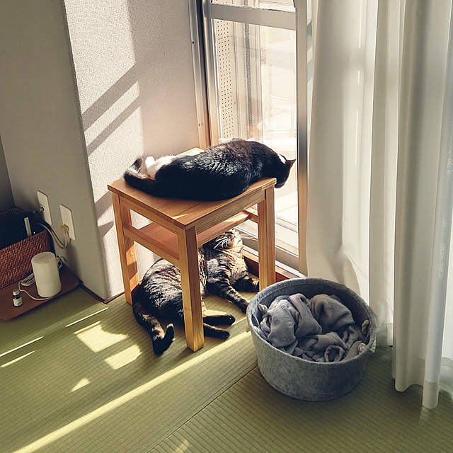 hihaさんの実例写真