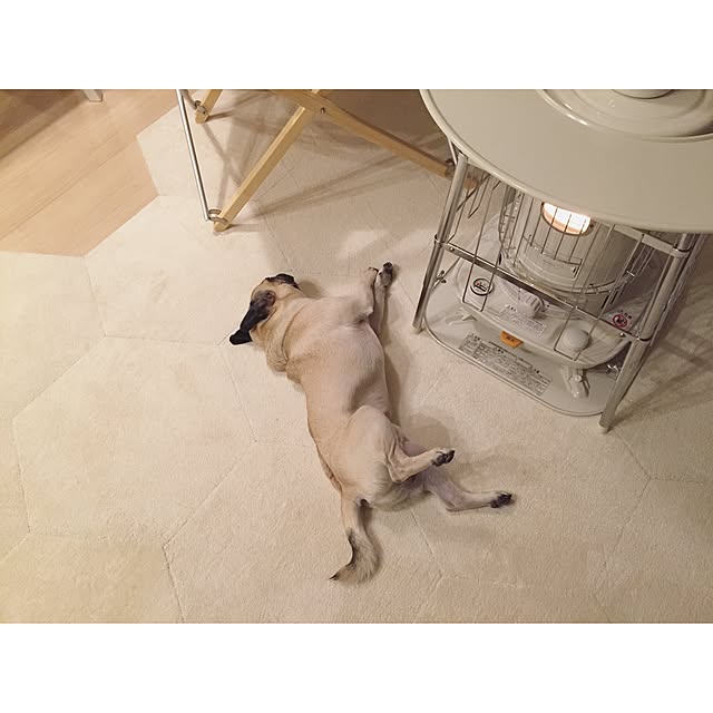 YUIさんの実例写真