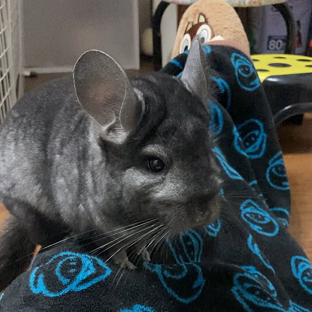 milkさんの実例写真