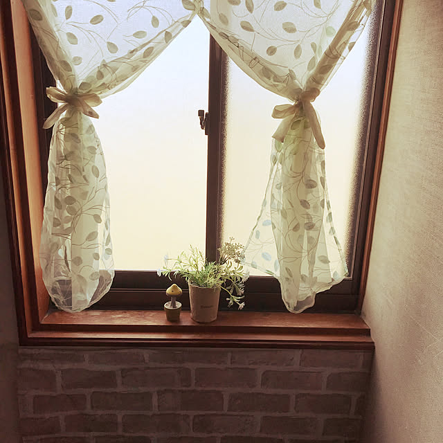 minaaisukiさんの実例写真
