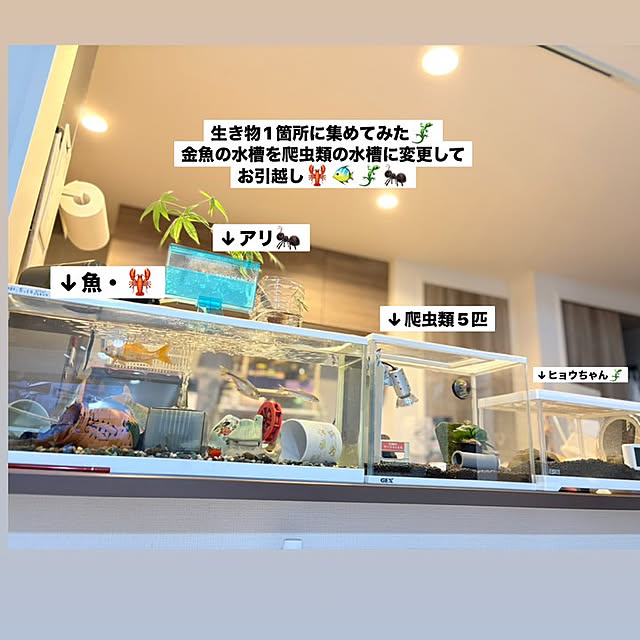 korifam0614さんの実例写真