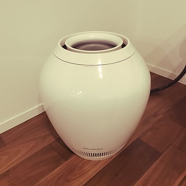 lag_1001さんの実例写真