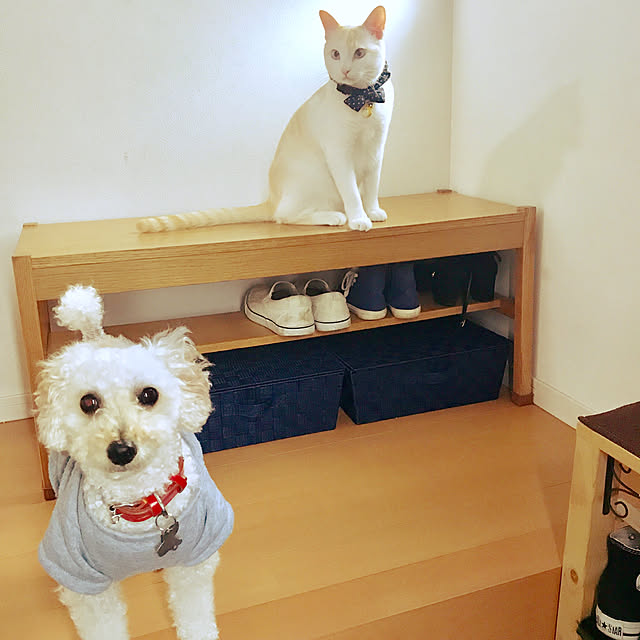 Masamiさんの実例写真