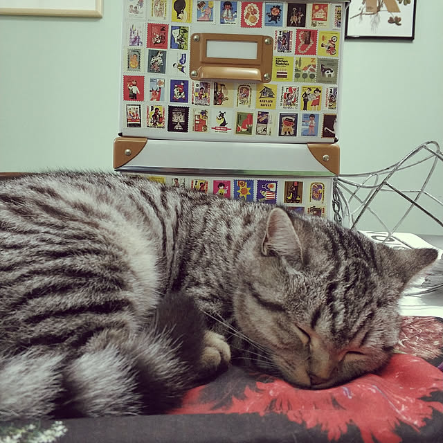 wendyさんの実例写真