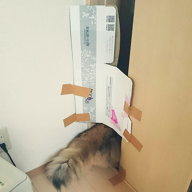nanoさんの実例写真