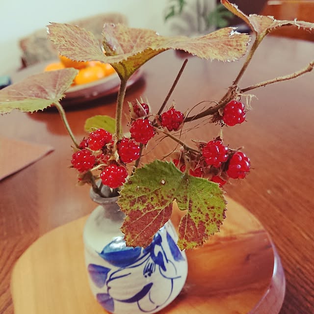 hopkeiさんの実例写真