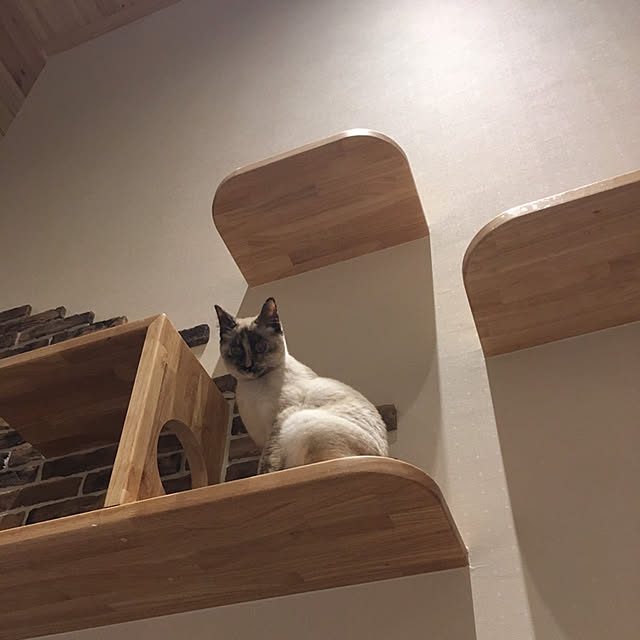Moricさんの実例写真