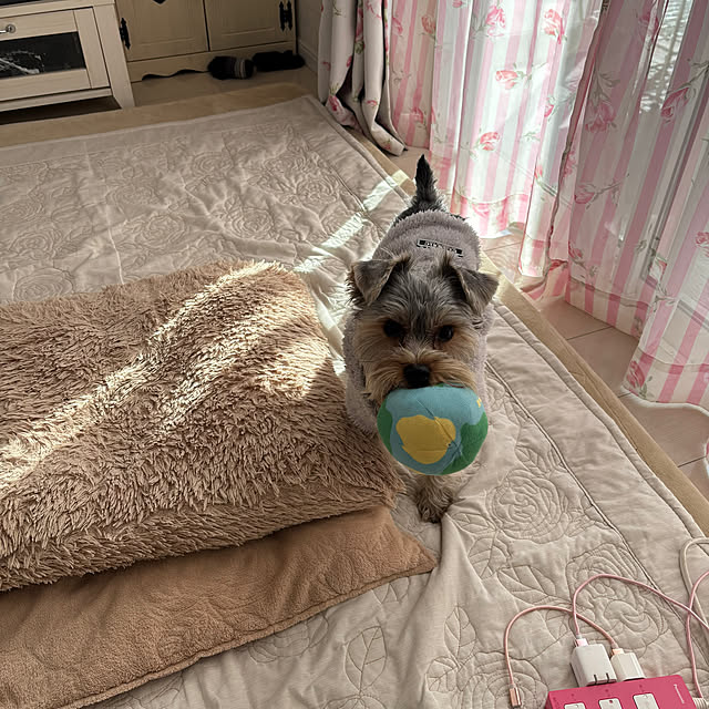 marikoさんの部屋