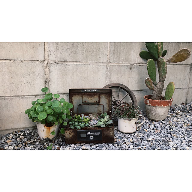 coraruさんの実例写真