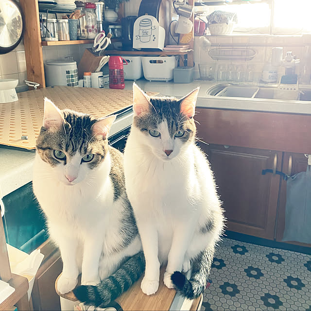 Lufuさんの実例写真