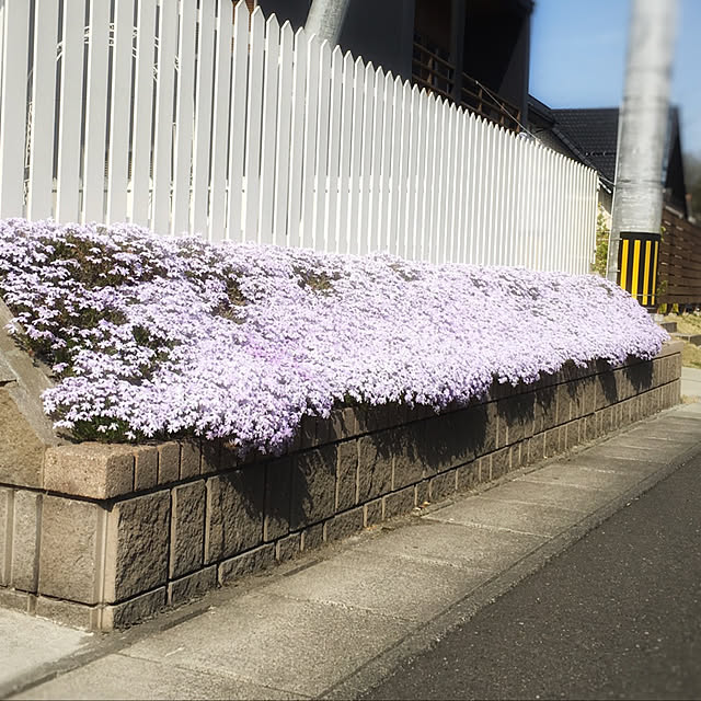Michiさんの実例写真