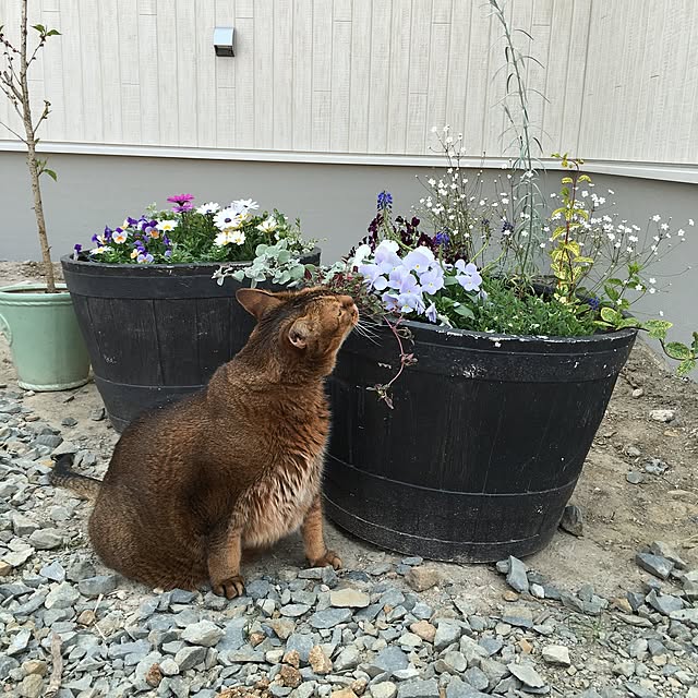 muuさんの実例写真