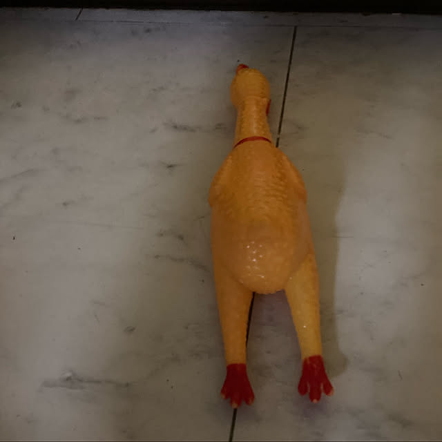 manduonmaさんの実例写真